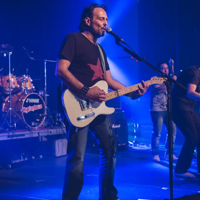 Photo 35 de l'édition 2015 du Seneffe Festival