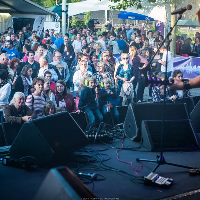 Photo 60 de l'édition 2015 du Seneffe Festival