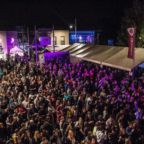 Photo 2 de l'édition 2016 du Seneffe Festival