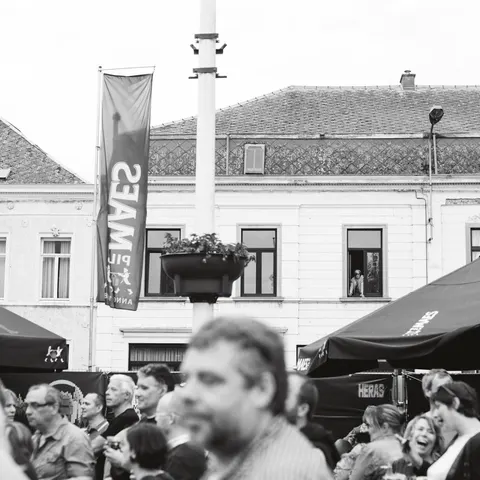 Photo 24 de l'édition 2016 du Seneffe Festival