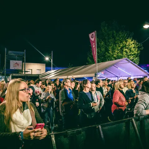 Photo 33 de l'édition 2016 du Seneffe Festival
