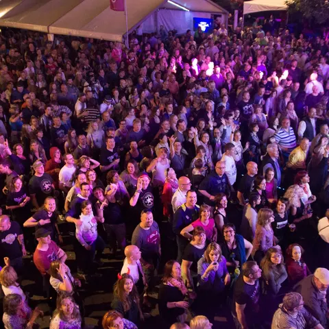 Photo 38 de l'édition 2016 du Seneffe Festival