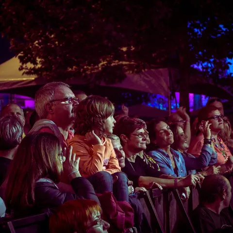 Photo 40 de l'édition 2016 du Seneffe Festival