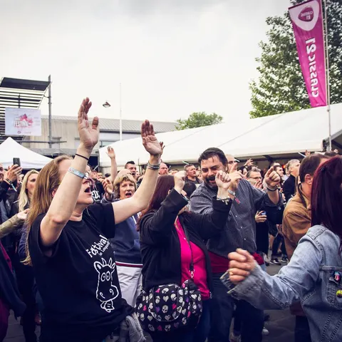 Photo 43 de l'édition 2016 du Seneffe Festival