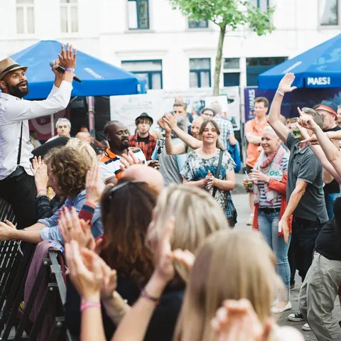 Photo 47 de l'édition 2016 du Seneffe Festival