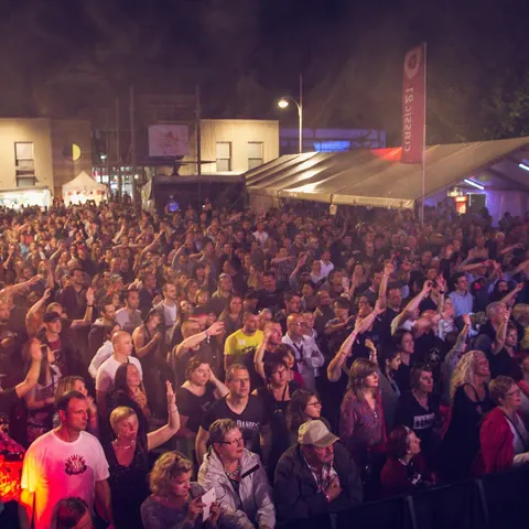 Photo 53 de l'édition 2016 du Seneffe Festival