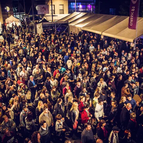 Photo 62 de l'édition 2016 du Seneffe Festival