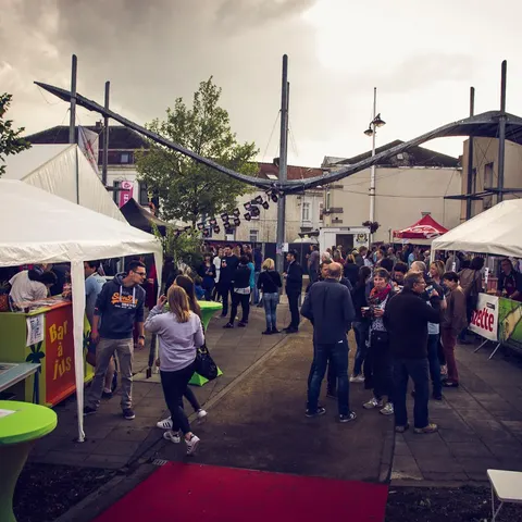 Photo 63 de l'édition 2016 du Seneffe Festival