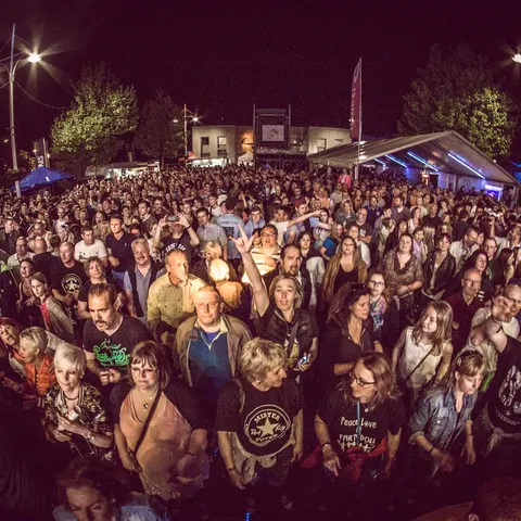 Photo 66 de l'édition 2016 du Seneffe Festival