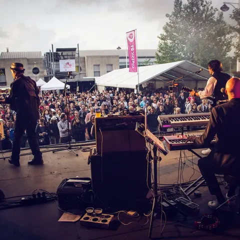 Photo 78 de l'édition 2016 du Seneffe Festival