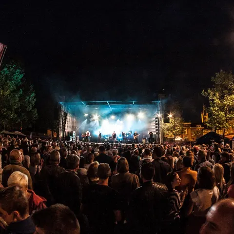 Photo 79 de l'édition 2016 du Seneffe Festival
