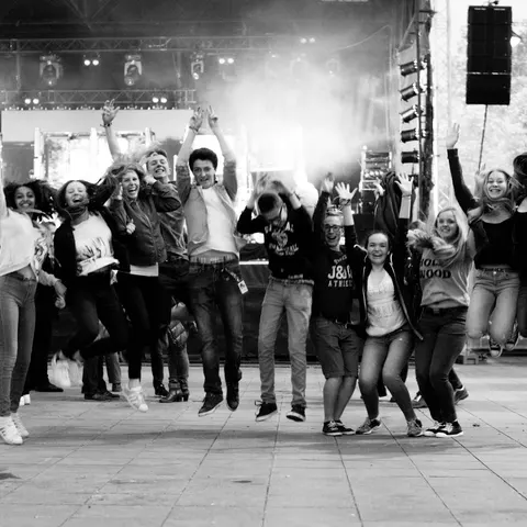 Photo 80 de l'édition 2016 du Seneffe Festival