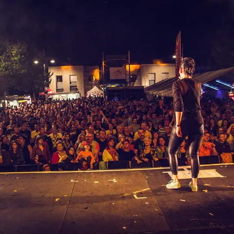 Photo 83 de l'édition 2016 du Seneffe Festival