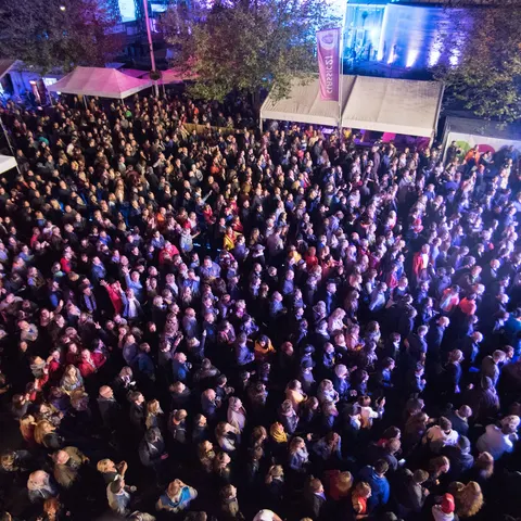 Photo 34 de l'édition 2017 du Seneffe Festival