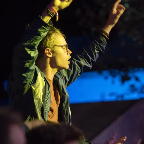 Photo 38 de l'édition 2017 du Seneffe Festival