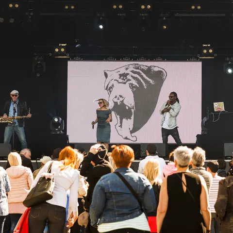 Photo 62 de l'édition 2017 du Seneffe Festival