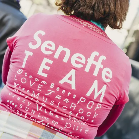 Photo 84 de l'édition 2017 du Seneffe Festival