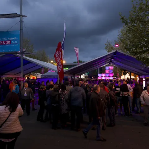 Photo 89 de l'édition 2017 du Seneffe Festival