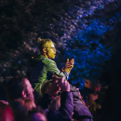 Photo 101 de l'édition 2017 du Seneffe Festival