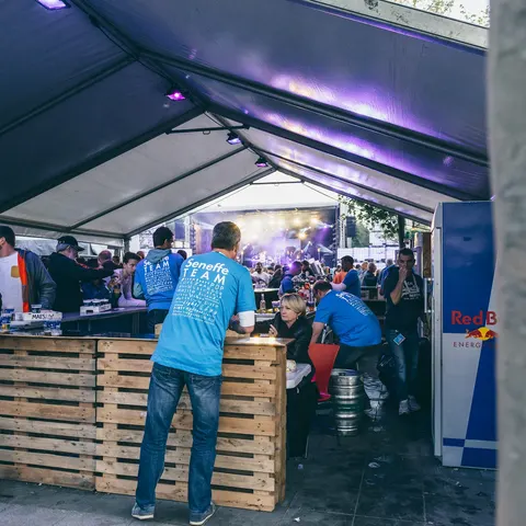 Photo 112 de l'édition 2017 du Seneffe Festival
