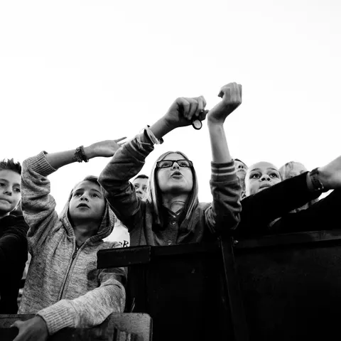 Photo 142 de l'édition 2017 du Seneffe Festival