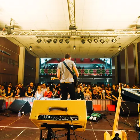 Photo 146 de l'édition 2017 du Seneffe Festival