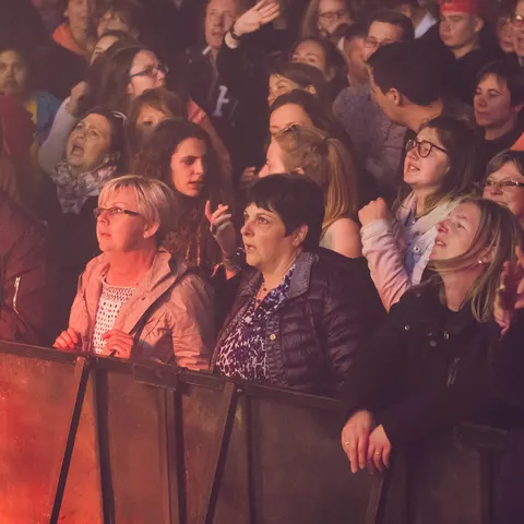 Photo 236 de l'édition 2017 du Seneffe Festival