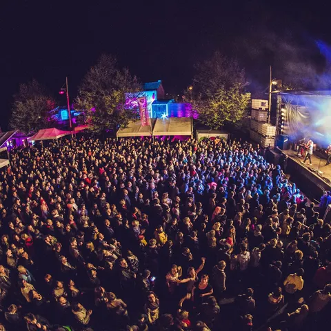 Photo 239 de l'édition 2017 du Seneffe Festival