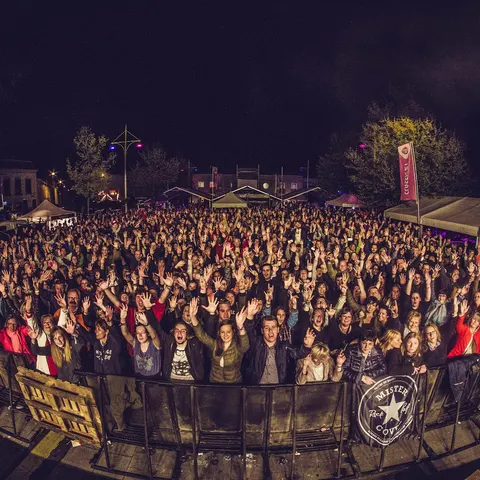 Photo 246 de l'édition 2017 du Seneffe Festival
