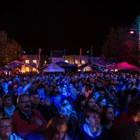 Photo 263 de l'édition 2017 du Seneffe Festival