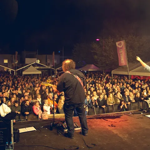 Photo 277 de l'édition 2017 du Seneffe Festival