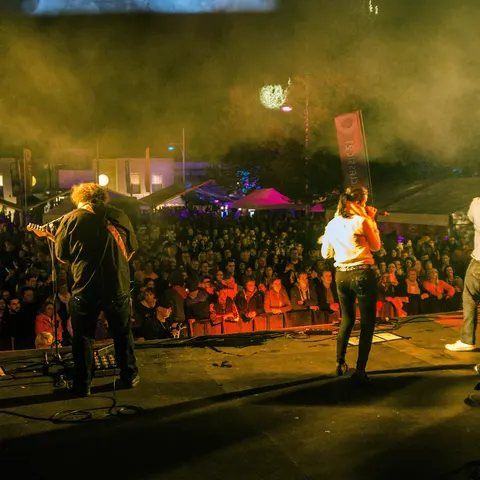 Photo 278 de l'édition 2017 du Seneffe Festival