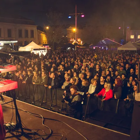 Photo 279 de l'édition 2017 du Seneffe Festival