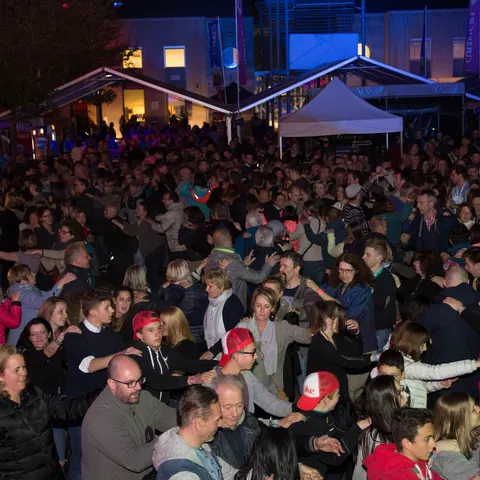 Photo 299 de l'édition 2017 du Seneffe Festival