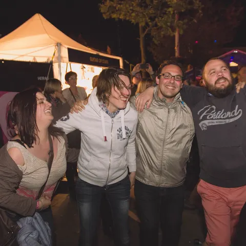 Photo 324 de l'édition 2017 du Seneffe Festival