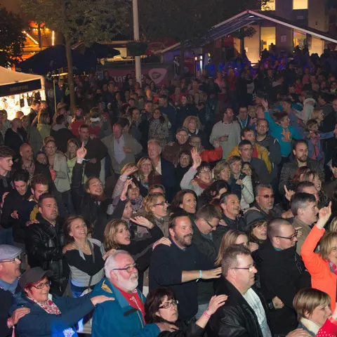 Photo 333 de l'édition 2017 du Seneffe Festival