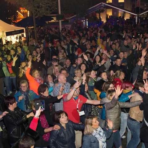 Photo 334 de l'édition 2017 du Seneffe Festival