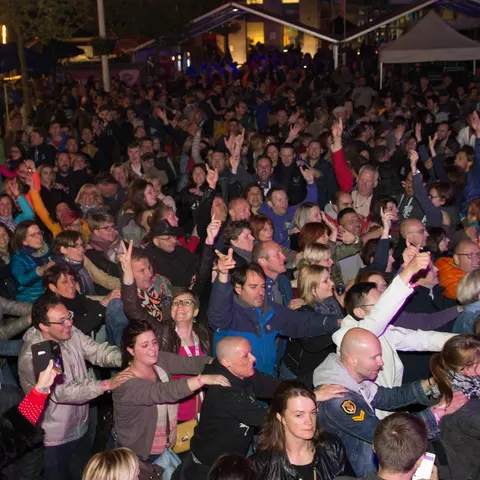 Photo 335 de l'édition 2017 du Seneffe Festival