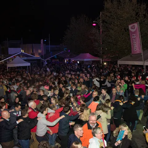 Photo 338 de l'édition 2017 du Seneffe Festival