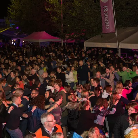 Photo 339 de l'édition 2017 du Seneffe Festival