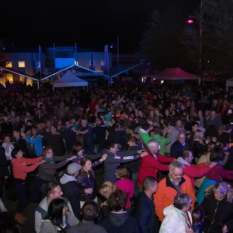 Photo 344 de l'édition 2017 du Seneffe Festival