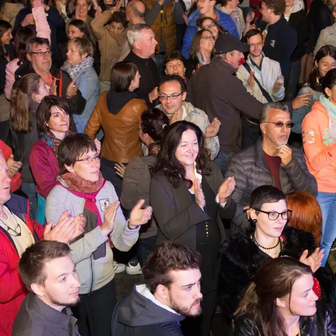 Photo 352 de l'édition 2017 du Seneffe Festival