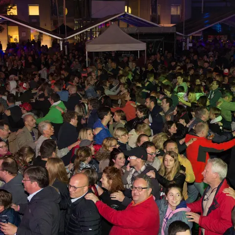 Photo 354 de l'édition 2017 du Seneffe Festival