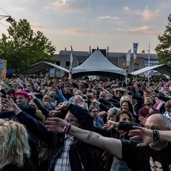 Photo 15 de l'édition 2018 du Seneffe Festival
