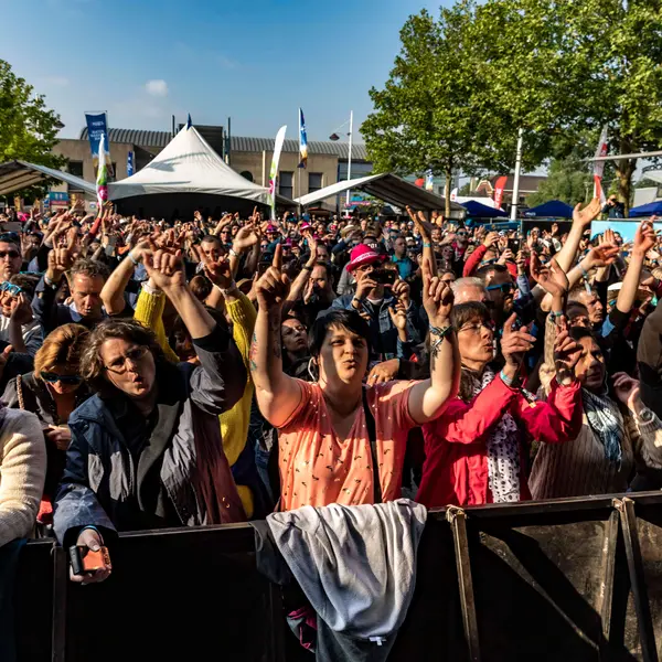 Photo 20 de l'édition 2018 du Seneffe Festival