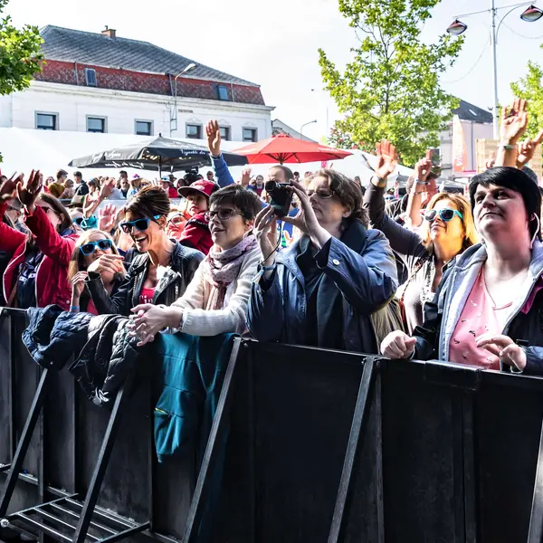 Photo 23 de l'édition 2018 du Seneffe Festival