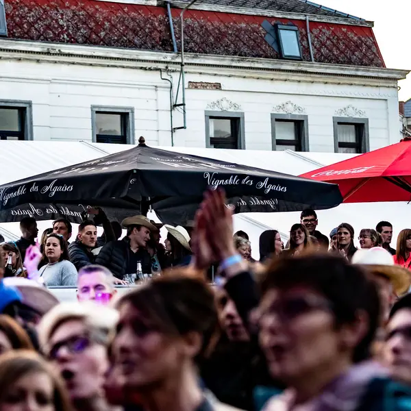 Photo 27 de l'édition 2018 du Seneffe Festival