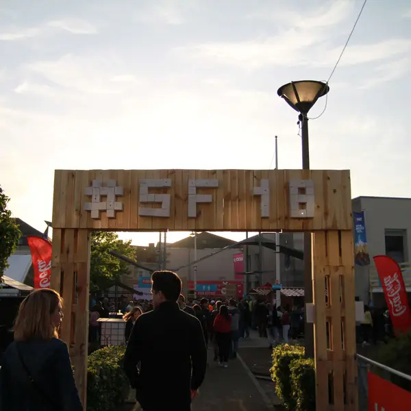 Photo 58 de l'édition 2018 du Seneffe Festival