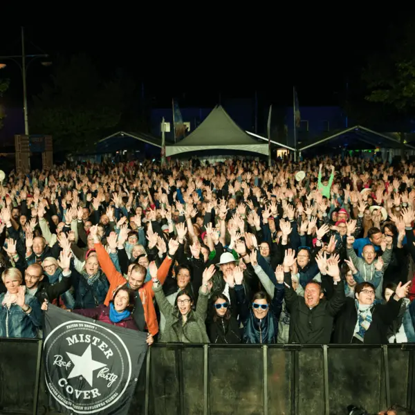 Photo 69 de l'édition 2018 du Seneffe Festival