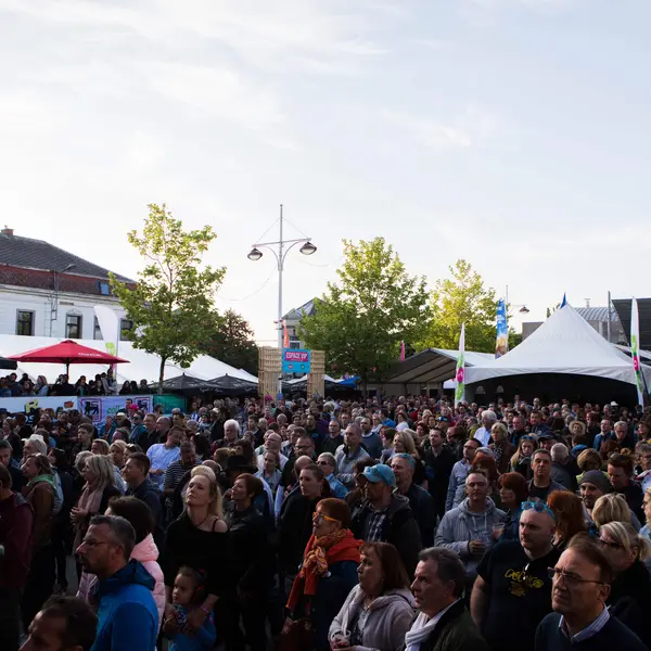 Photo 82 de l'édition 2018 du Seneffe Festival